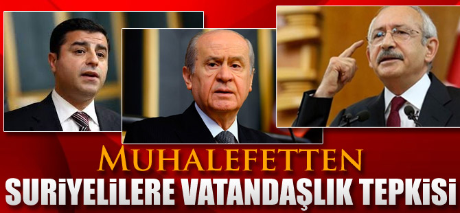 Muhalefetten Suriyelilere vatandaşlık için referandum önerisi