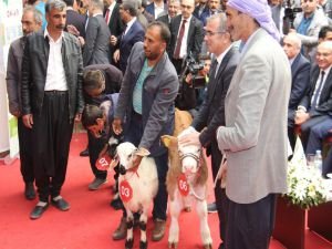 TÜYAP Diyarbakır 9’uncu Tarım Hayvancılık Fuarı ziyaretçi rekoru kırdı