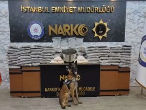 İstanbul'da uyuşturucu operasyonu: 4 kişi tutuklandı