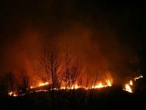 Sultan Sazlığı Milli Parkı'nda çıkan yangın söndürüldü
