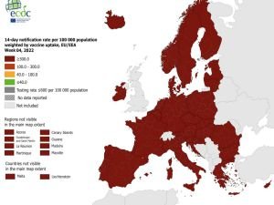Covid-19 seyahat haritasına göre tüm Avrupa enfeksiyon riski altında