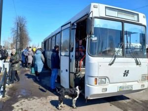 Ukrayna'dan kaçışlar sürüyor