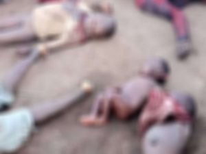 Kongo'da silahlı grup çoğu çocuk 15 sığınmacıyı öldürdü