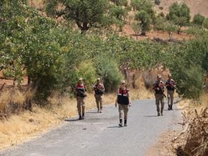 Siirt'te Jandarma fıstık hırsızlığına karşı bağ ve bahçelerde devriye atmaya başladı