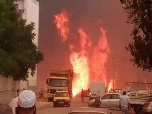 Cezayir'de orman yangını: 26 kişi hayatını kaybetti