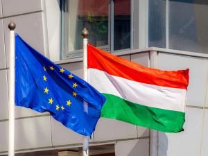 AP'den Macaristan’a giden fonların dondurulması çağrısı