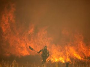 İspanya orman yangınıyla mücadele ediyor