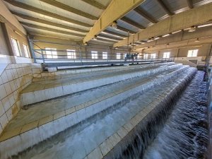 Sel sonrası Şanlıurfa'da su analizi gerçekleştiriliyor