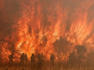 İspanya orman yangınlarıyla mücadele ediyor