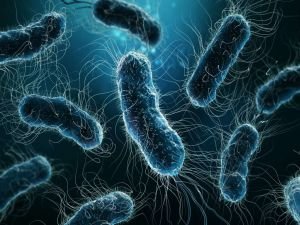 Polonya'da lejyonella bakterisi kaynaklı ölü sayısı 11'e çıktı