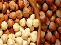 Türkiye fındık üretimi ve ihracatında dünyada birinci sırada
