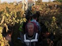 4 yaşındaki Irmak'ın cesedi ailesine teslim edildi