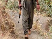 PKK'nın İskandinavya sorumlusu Danimarka'da yakalandı