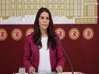 HDP'li Konca'ya 2 yıl 6 ay hapis cezası verildi