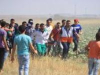 İşgalci İsrail 80'den fazla Filistinliyi yaralandı