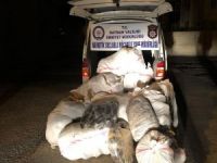 Kaçan araçta 265 kilo esrar ele geçirildi