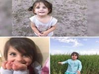 Leyla Aydemir cinayetiyle ilgili bir kişi tutuklandı