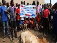 Ugandalı Müslümanlara kırmızı et yardımı