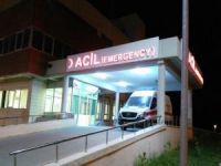 Meyve yiyen 50 öğrenci zehirlendi