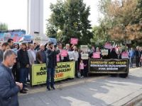 "Çocuklara dayatılan ant inancımızla çelişen cahili bir zulümdür"