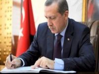 Cumhurbaşkanı Erdoğan 11 üniversiteye rektör atadı
