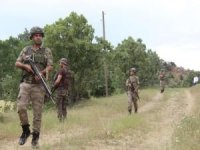Bitlis kırsalındaki bazı köylerde sokağa çıkma yasağı ilan edildi