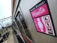 Almanya'ya 'pembe' vagon geliyor