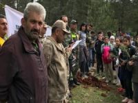 Hataylı Çanakkale Şehitleri adına fidan dikildi