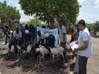 Hayırseverlerin bağışladığı kurbanlar Afrika'da kesildi