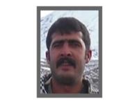 Gri kategoride aranan PKK'lı öldürüldü