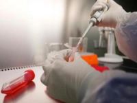 Dünya Sağlık Örgütü: Çin dışında ilk defa koronavirüs nedeniyle bir kişi hayatını kaybetti