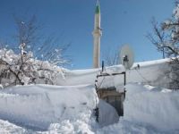 Bitlis'te araçlar ve tek katlı evler kara gömüldü