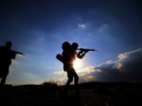 Siirt’te sokağa çıkma yasağının ilan edildiği bölgede 2 PKK’lı öldürüldü