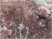 MSB: Kilis’te tespit edilen 12 adet antipersonel mayını imha edildi