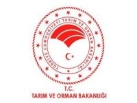 9 ilin orman bölge müdürü görevden alındı