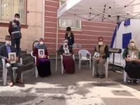 Ailelerin evlat nöbetindeki bekleyişleri 245'inci gününe girdi