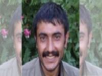 Turuncu kategoride aranan PKK'lı öldürüldü