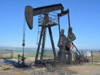 Türkiye Petrolleri Anonim Ortaklığına 4 petrol arama ruhsatı verildi