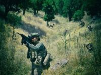 İçişleri Bakanlığı: İlkbahar-yaz dönemi operasyonları başladı