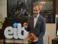 Çilek ihracatında yüzde 333’lük rekor artış