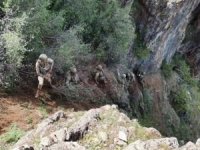 3'ü turuncu, 2'si gri kategoride olan 8 PKK'lı öldürüldü