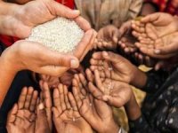 FAO: Dünyada 745 milyon insan aç