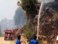 Muğla'daki yangınla ilgili 3 zanlı tutuklandı