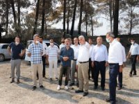Yapıcıoğlu orman yangınlarının yaşandığı bölgeyi ziyaret etti