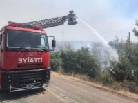 Muğla’da zeytinlik ve ormanlık alandaki yangınlara 6 tutuklama