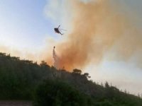 Muğla'da 5 orman yangını sürüyor