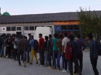 İzmir'de 51 düzensiz göçmen yakalandı