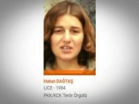 Turuncu kategorideki PKK'lı yakalandı