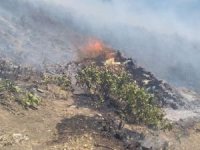 Bitlis'in Mutki ilçesinde çıkan orman yangınına müdahale ediliyor