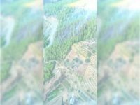 Antalya ve Sakarya'da orman yangını